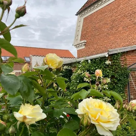 Villa Vidunderligt I Den Gamle Del Af *